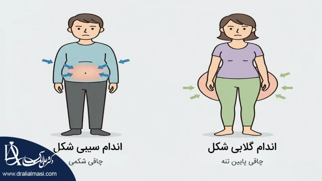 تصویر گرافیکی نشان دهنده چاقی سیبی و چاقی گلابی شکل